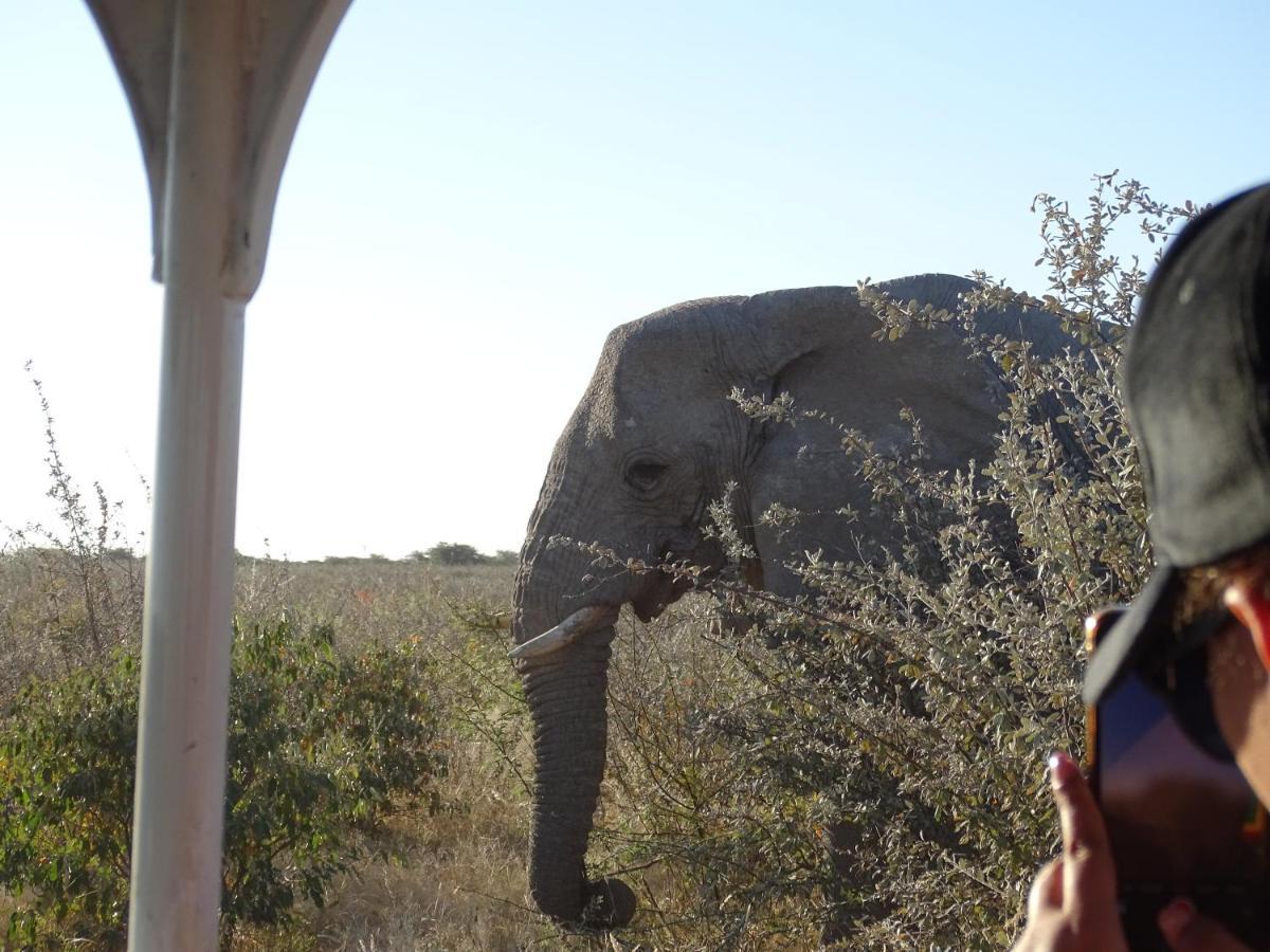 Etosha King Nehale Villa Omuthiya Buitenkant foto